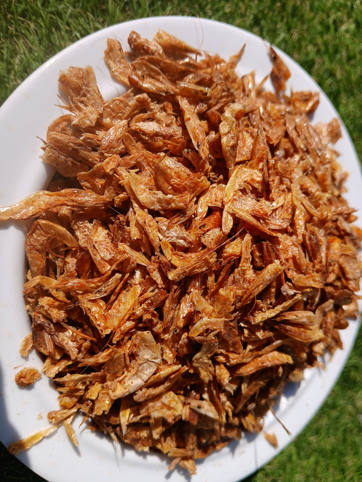 CREVETTES SECHEES